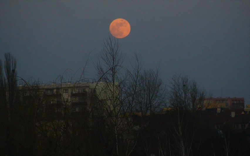Półcieniowe zaćmienie księżyca w Inowrocławiu [zdjęcia]