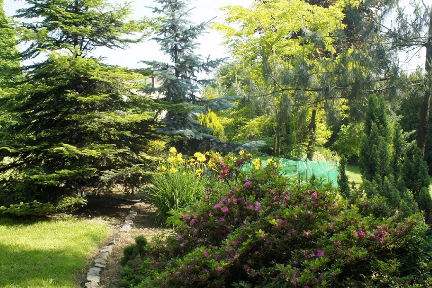 Który ogród w Mszanie okaże się najpiękniejszy?