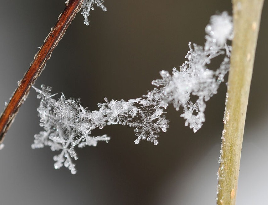 Dziś pierwszy dzień zimy! Zobacz galerię zimowych fotografii - w tym unikalne zdjęcia płatków śniegu!