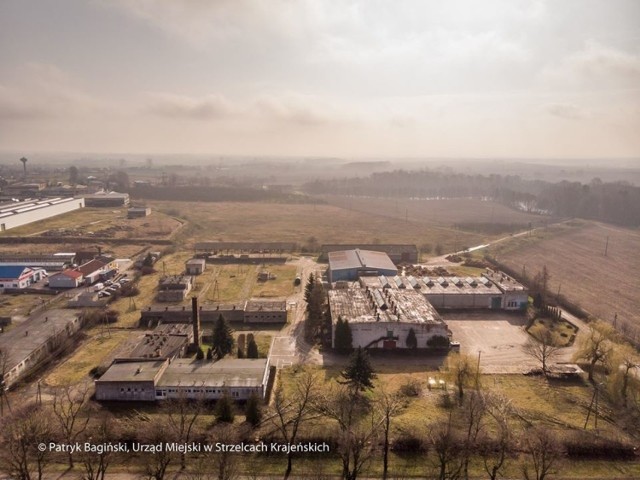 Hodowla bydła miała być w jednym z pustych budynków na terenie byłego sadu w Strzelcach Kraj.