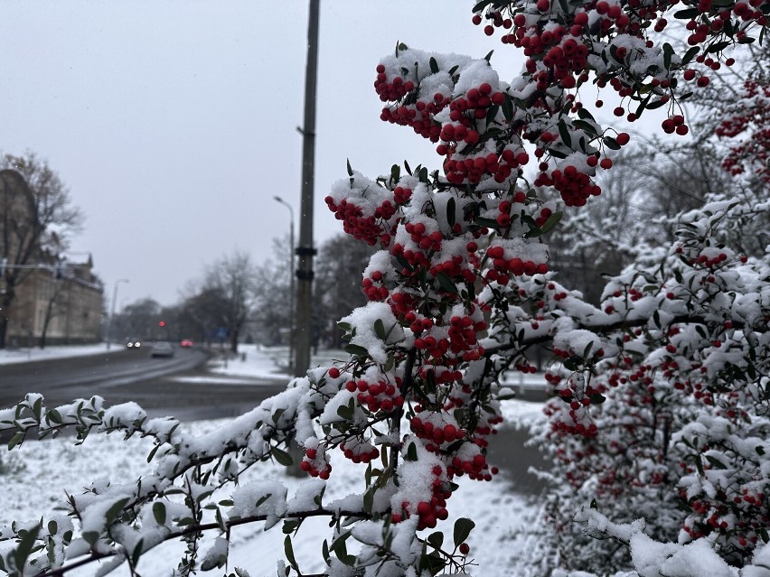 W Głogowie posypało śniegiem. Jest pięknie, ale też niełatwo...