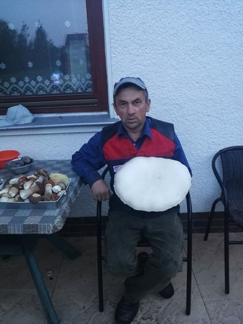 Mamy mistrza zbierania grzybowych gigantów. To Wojciech Szyszka z Ropy