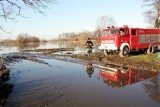 Powiat głogowski: Z pól koło Kotli wypompowywano wodę