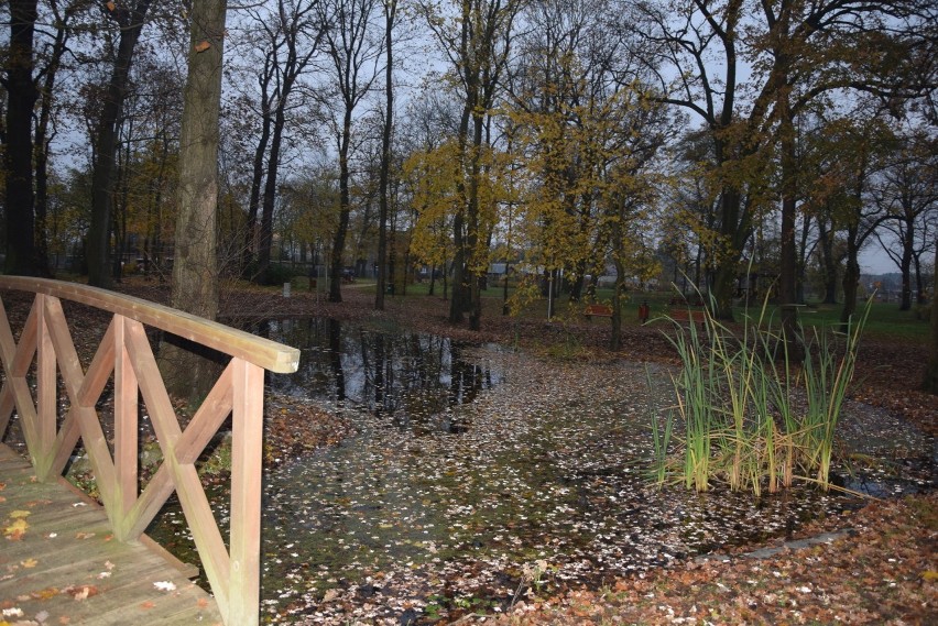 Park w Zielonej Górze Kiełpinie ma dużą wartość historyczną...