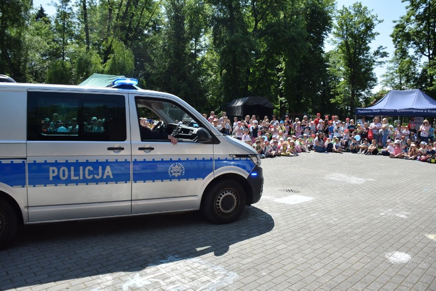 Piknik edukacyjny „Bezpieczne wakacje” w Ogródku Jordanowskim w Krośnie. Mnóstwo zabaw dla dzieci [ZDJĘCIA]