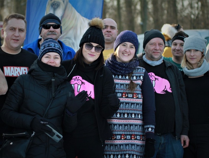 W  słoneczne południe odbyła się Inwazja morsów nad jeziorem...