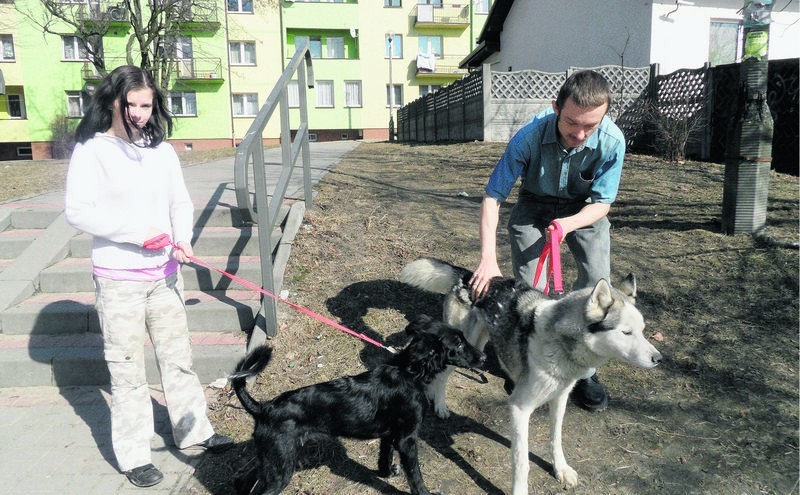 Małgorzata i Sebastian Wiecheć mają dwa psy, Portiego i...