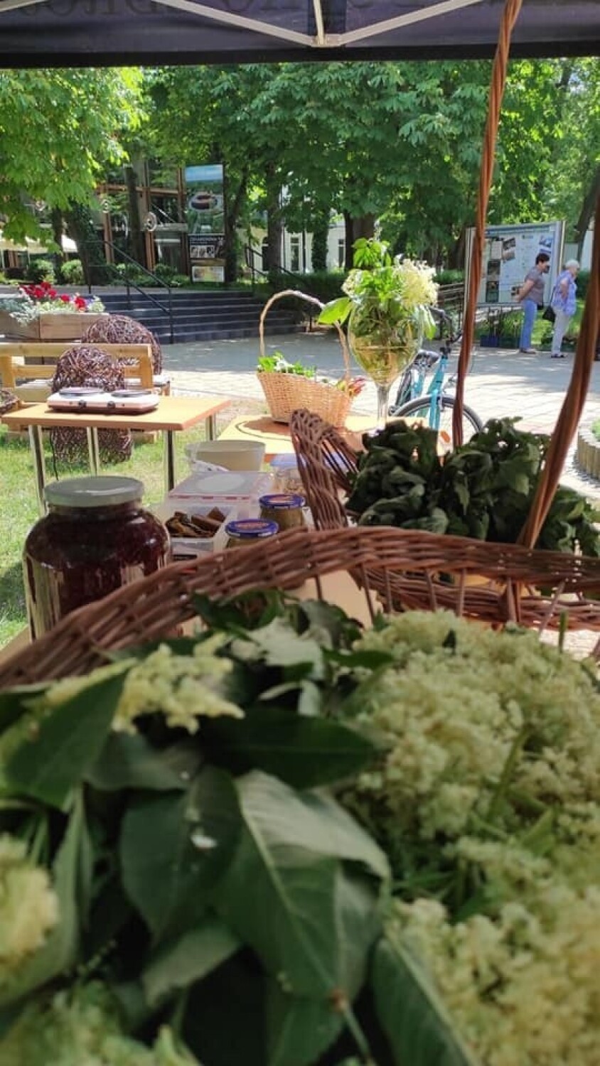 Sobota, 11 czerwca, drugi dzień Festiwalu Kwiatów w...