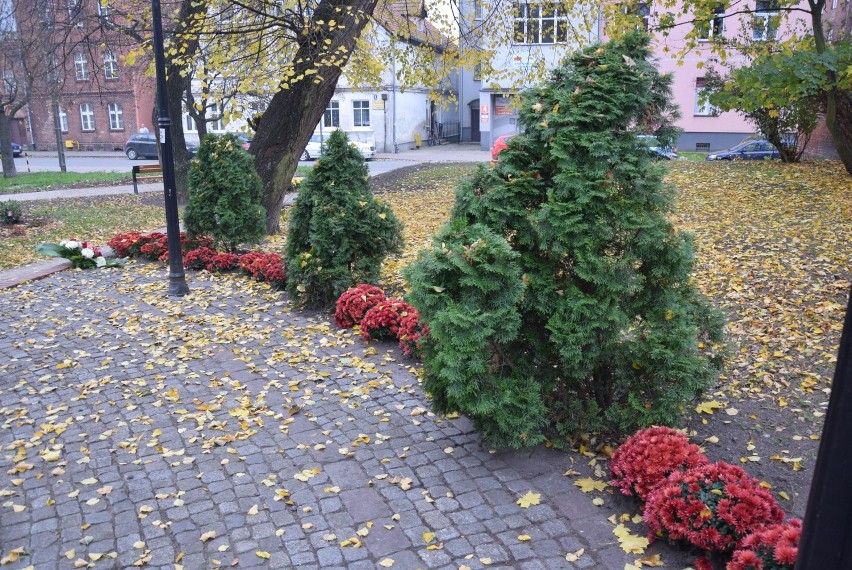 Malbork. Kwiaty na Święto Niepodległości 2020 [ZDJĘCIA]. Symboliczna uroczystość na Skwerze Żołnierzy Wyklętych