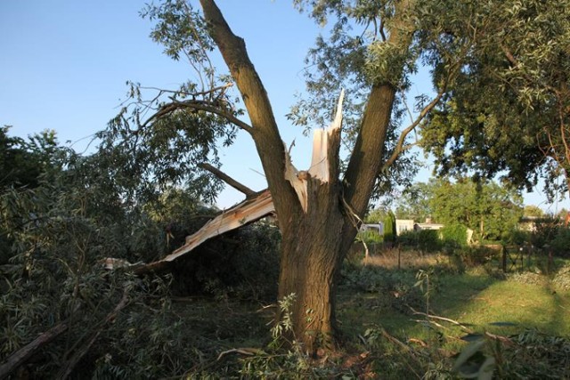 Wolsztyn. Zniszczenia po burzy