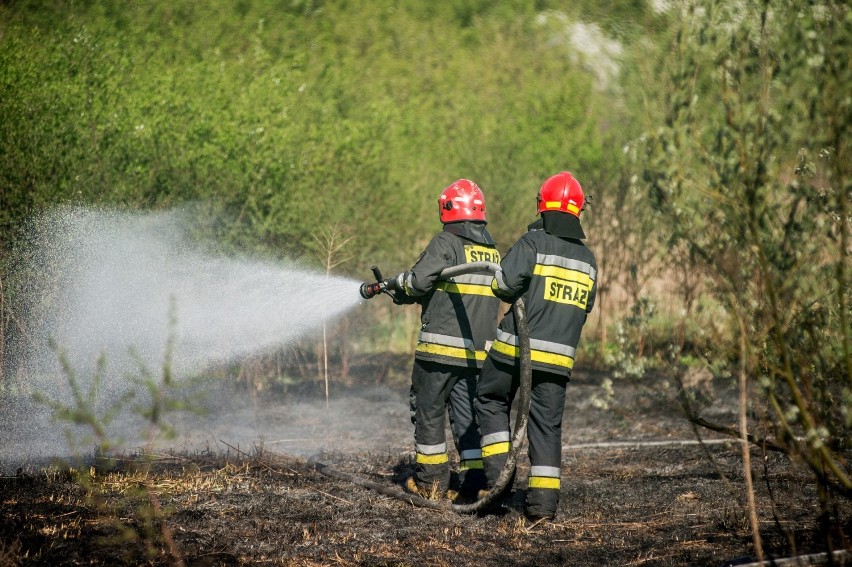 Lubliniec: na terenie miasta płonęły suche trawy. Ale już po sprawie [zdjęcia]