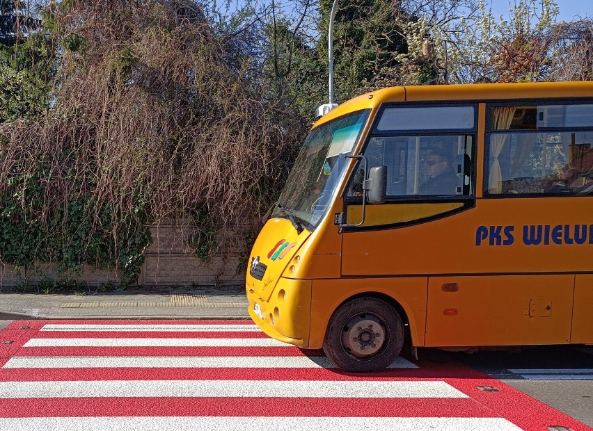 Komunikacja miejska w gminie Wieluń. Ratusz unieważnił przetarg na obsługę autobusów. Burmistrz proponuje powrót do płatnych przejazdów 