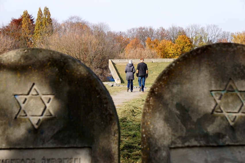 Jesień 2021. Najpiękniejsza dzielnica w Lublinie? Spacer po Kalinowszczyźnie to czysta przyjemność! Zobacz  jesienne zdjęcia