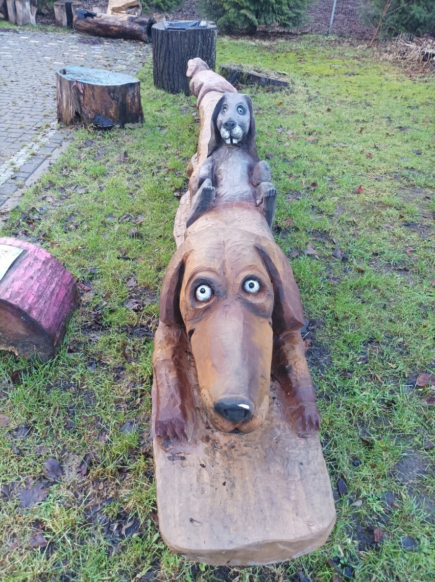 Park Zwierząt, Wierzeń i Iluzji przy Dworku Drzewiarza jest...