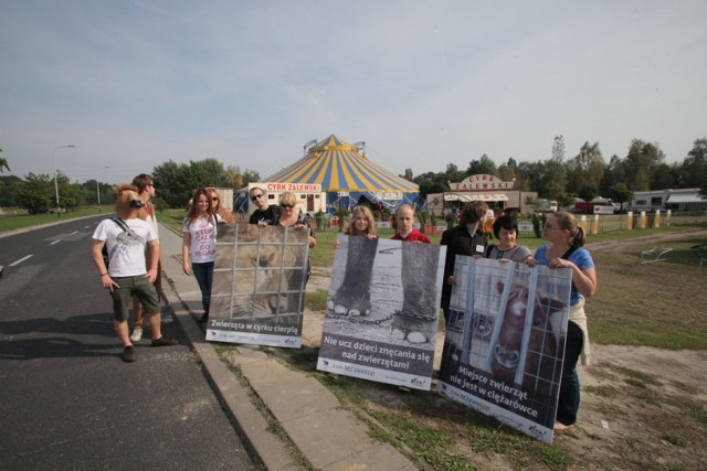 Protest pod cyrkiem przy Piłsudskiego