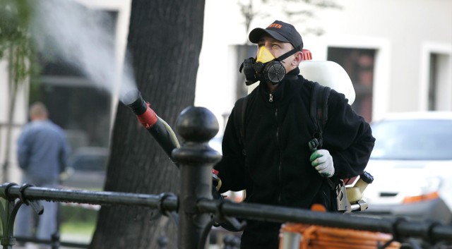 Dzisiaj zaczną odkomarzanie na terenie Rudnej