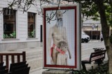 Wystawa "Iron Man" we Wrocławiu zniszczona. To promowanie pedofilii i LGPT? Sztuka czy kontrowersja?