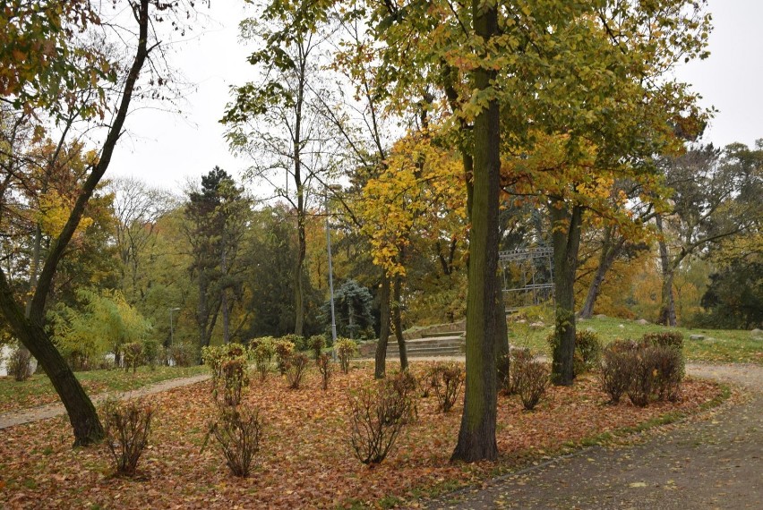 Złota polska jesień w Gnieźnie. W parkach pustki [FOTO]