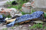 Dzikie wysypiska śmieci w Grudziądzu [zdjęcia]