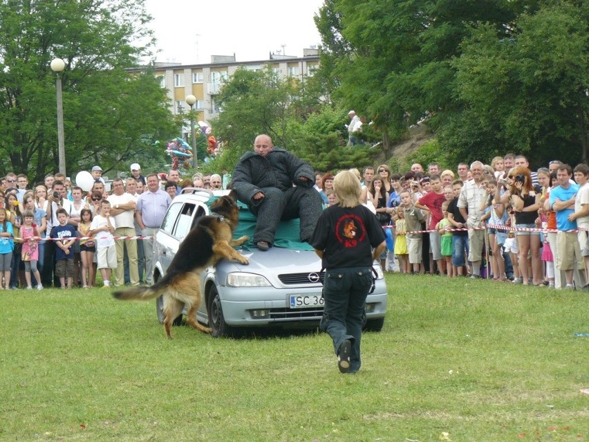 Dni Radomska 2012: Pokaz tresury psów [ZDJĘCIA]