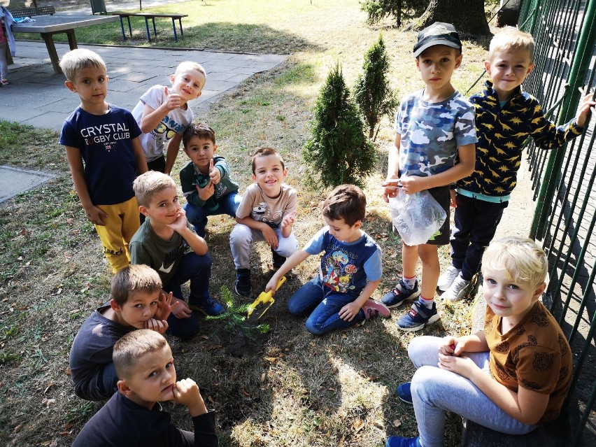 Uczniowie siódemki włączyli się do ogólnopolskiej akcji i zasadzili drzewka na terenie szkoły 