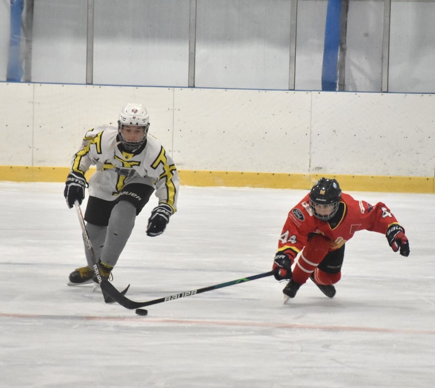 Hokej w Malborku. Bombek Alegre zdobył pierwsze samodzielne punkty w rozgrywkach ligowych U14. To był też debiut na malborskim lodowisku