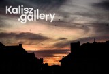 Kalisz.gallery. Kaliscy artyści prezentują swoje prace w internecie