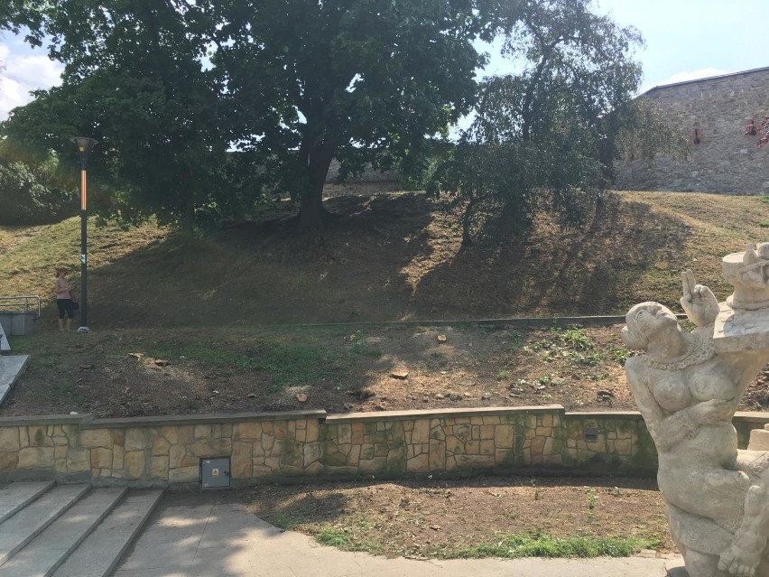 Wokół pomnika Biruty w parku Miejskim w Kielcach wycięto zieleń