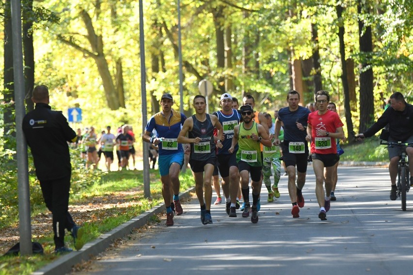 Festiwal Biegów po Zielonym Lesie w Żarach