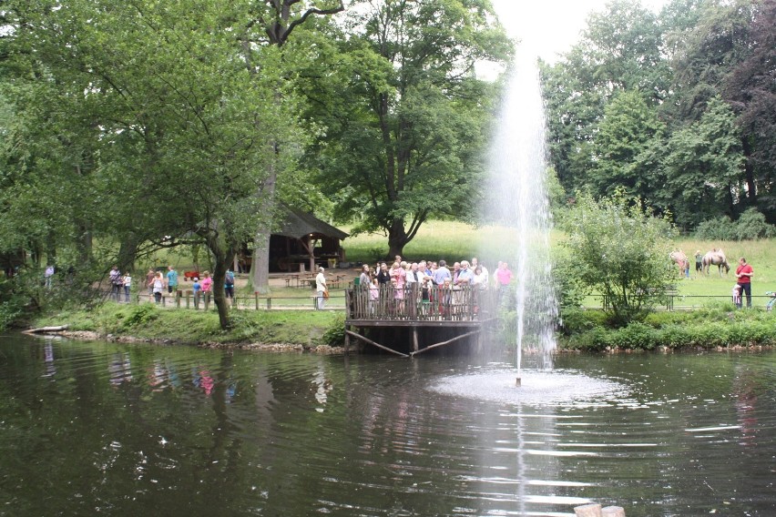 Spacer wiosenny oraz uruchomienie fontanny w Naszym Zoo Görlitz-Zgorzelec 