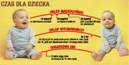 infografika: Maciej Dudzik