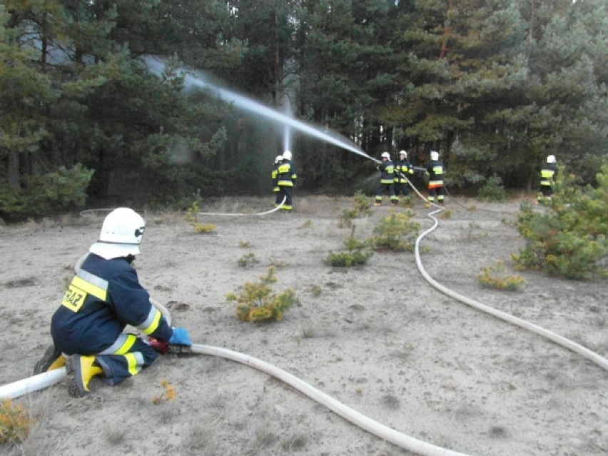 KP PSP Turek: Pozorowany pożar lasu