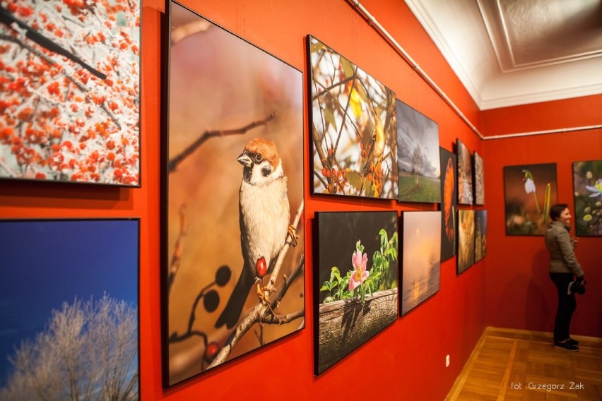 Kraśnik. Piękno przyrody w obiektywie lubelskich fotografów - zobaczcie nową wystawę w galerii CKiP (ZDJĘCIA)
