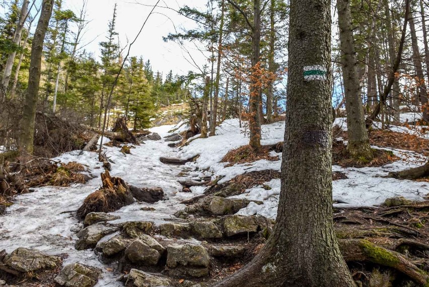 Tatry: Przyszła odwilż i szlaki zrobiły się śliskie oraz niebezpieczne [ZDJĘCIA]