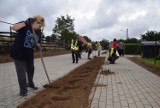 W czynie społecznym sprzątają Kwasowo. Inicjatywa mieszkańców [ZDJĘCIA]