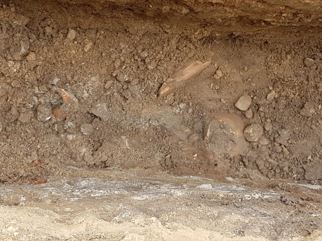 Trzemeszno. Kości ludzkie zostały znalezione przy budynku szkoły