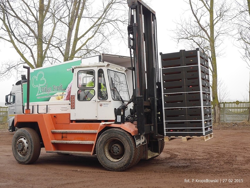 W Połchowie rozdali 20 ton jabłek