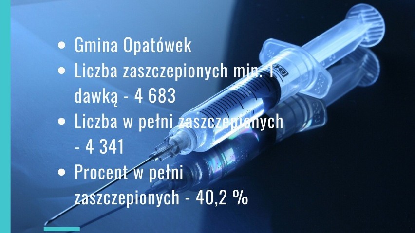 Szczepienia przeciw Covid-19 w Kaliszu i powiecie kaliskim. Jaki jest procent zaszczepionych? ZDJĘCIA