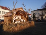 Wieluń w świątecznej odsłonie. Oryginalna szopka na pl. Legionów [FOTO]