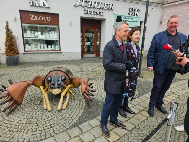 Eksponaty przedstawiają różne gatunki owadów i pająków