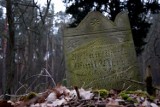 Stary ewangelicki cmentarz w Zielonej Górze Janach. Nekropolia ocalona od zapomnienia [ZDJĘCIA]