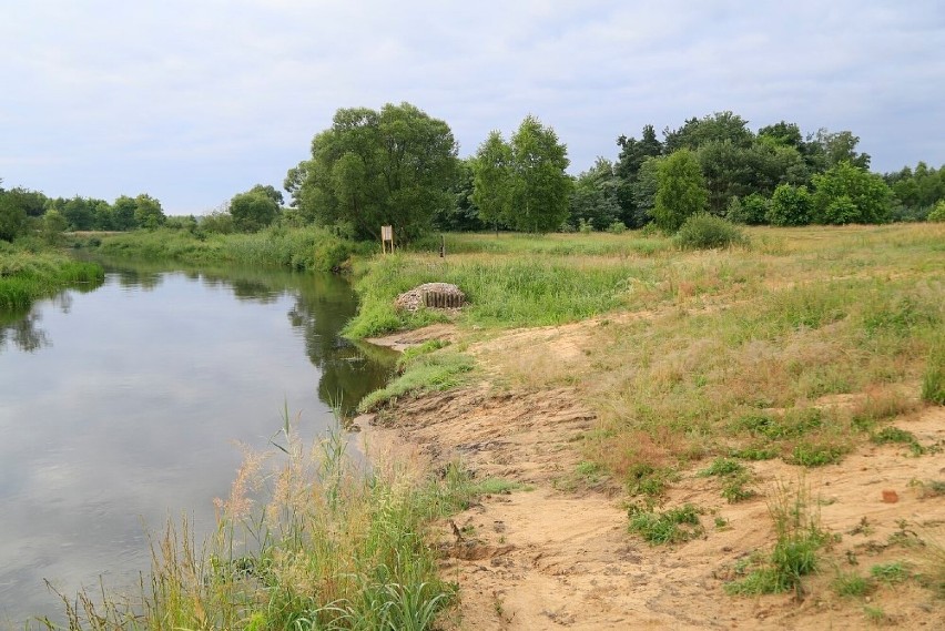 Gdzie nad wodę w Radomsku i powiecie? Era Travel podpowiada ZDJĘCIA, MAPA