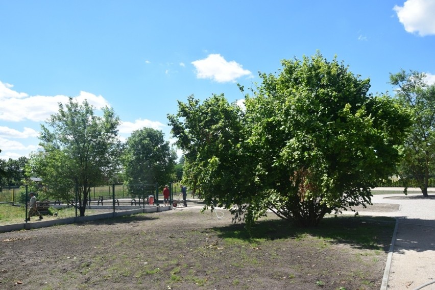 Radomsko: Na Wymysłówku przy tężni powstaje park wypoczynkowo-rekreacyjny [ZDJĘCIA]