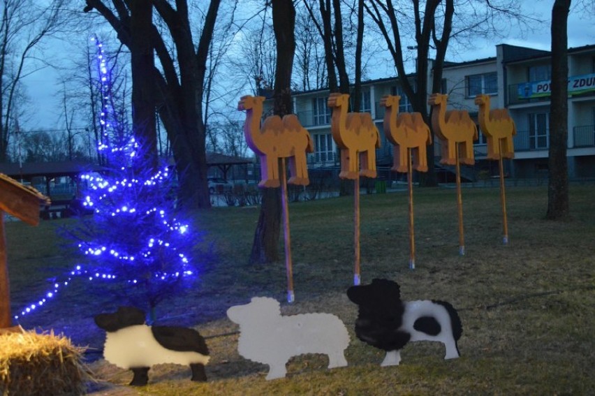 Szopkę będzie można oglądać na terenie przy Dolnej 41 w...