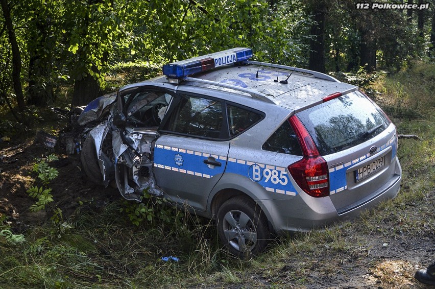 Radiowóz uderzył w drzewo. Ranna policjantka