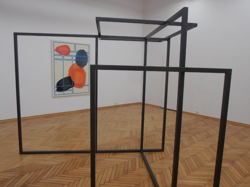 Małgorzata Szymankiewicz - On or off the grid (W systemie lub poza nim) wystawa w BWA [ZDJĘCIA]