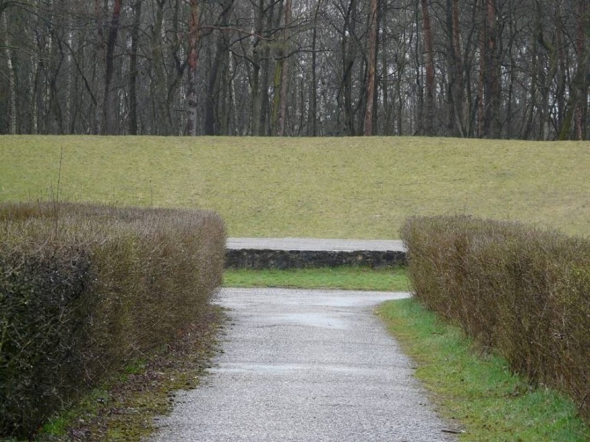 Wybrano wykonawcę, który w Parku Wolności wybuduje nowy amfiteatr ZDJĘCIA