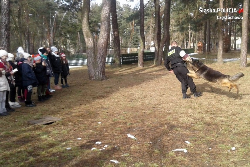 Olsztyn: Policyjny pies Rambo odwiedził dzieci w ośrodku Owieczka [ZDJĘCIA]
