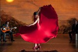 Darmowe flamenco w Żorach