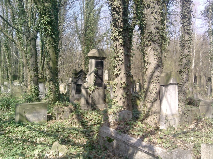 Cmentarz żydowski na ul. Brackiej w Łodzi, to według mnie...